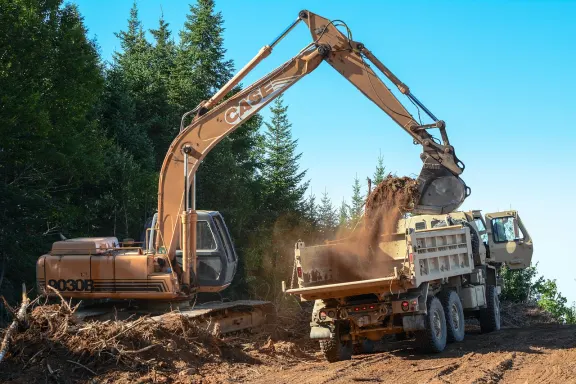 BingoCafe Casino Suporte